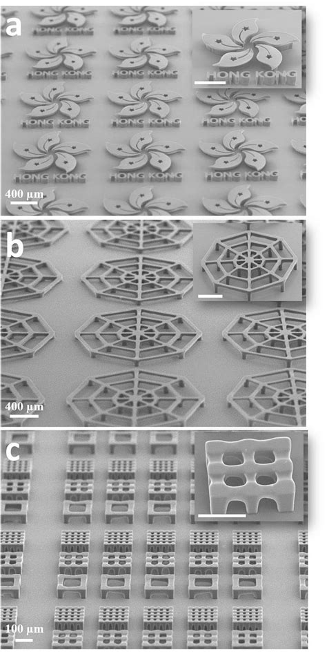 Sem Images Of The Fabricated 3d Microstructure Arrays A Hong Kong