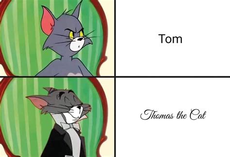 Thomas the Cat : r/memes