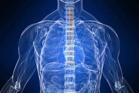 Oesophagectomy Advanced Surgical