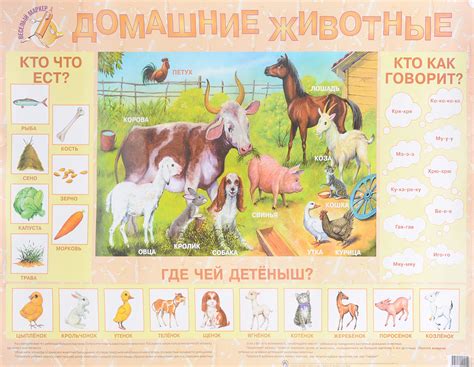 Домашние животные. Плакат - купить с доставкой по выгодным ценам в ...