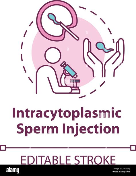 Ic Ne Du Concept D Injection Intracytoplasmique De Spermatozo Des