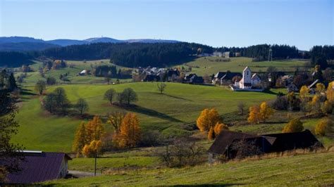 Fotos gratis paisaje árbol naturaleza césped horizonte