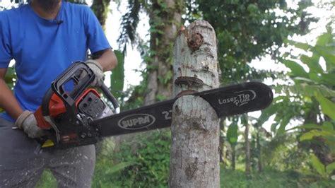 Chainsaw 2 Tak Cuma 850 Rebu Ediann Tes Dan Review Supra SPR6800