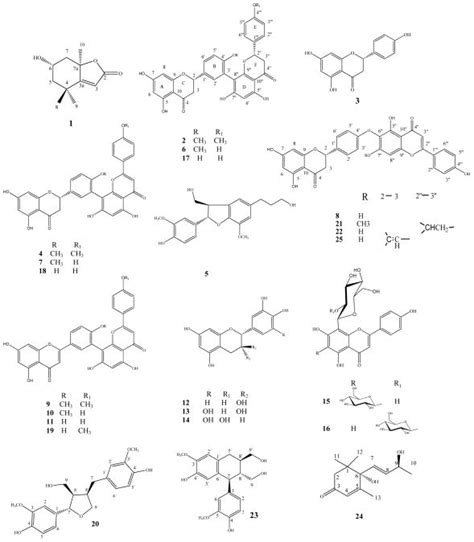 Phytochemical Investigation Of Cycas Circinalis And Cycas Revoluta