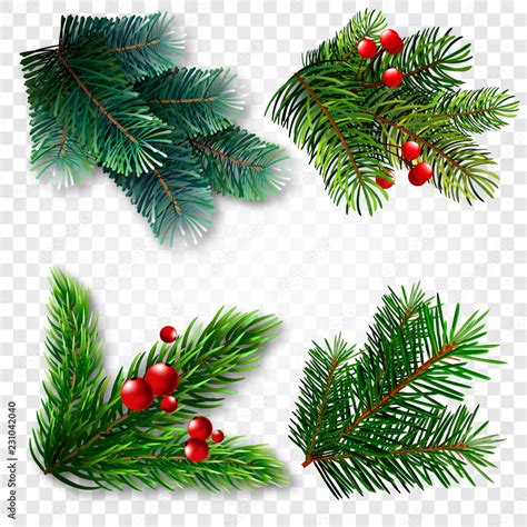 Collection Of Fir Branches Set Of Realistic Detailed Christmas Tree