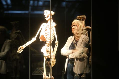 Wystawa Body Worlds w Katowicach szokuje Chcę poznać jak wygląda