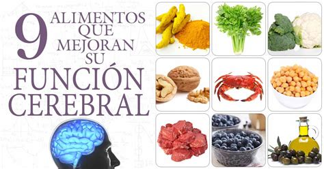 Diez Nutrientes Esenciales Para El Cerebro