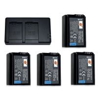 Dste Pcs Np Fw Fully Decoded Lithium Ion Batteries With Dual Usb