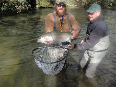 Riverside Soque River - MIDDLE TENNESSEE FLY FISHERS