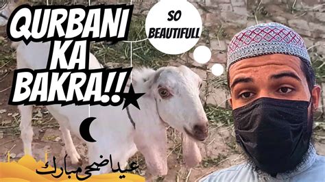 Qurbani Ka Baqraley Liya Eid Ul Adha Vlog Youtube