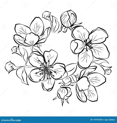 Fiori Di Ciliegio Disegni Bianco E Nero Disegni Hd