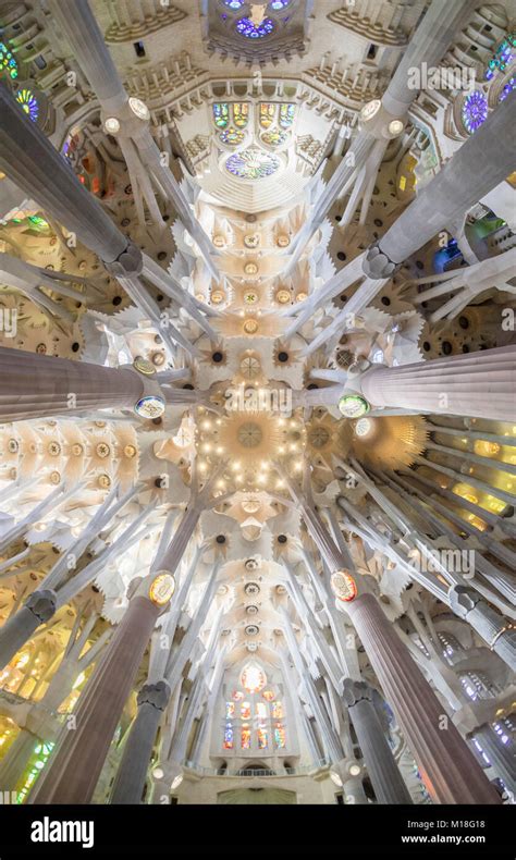 Vue de l intérieur de la Sagrada Familia par Antoni Gaudi Barcelone