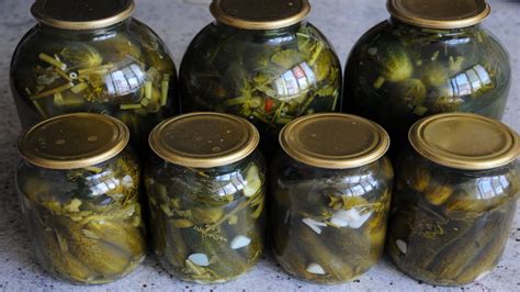 ОГУРЦЫ на ЗИМУ как БОЧКОВЫЕ! ЗАСОЛКА ОГУРЦОВ ХОЛОДНЫМ СПОСОБОМ. SALTED ...
