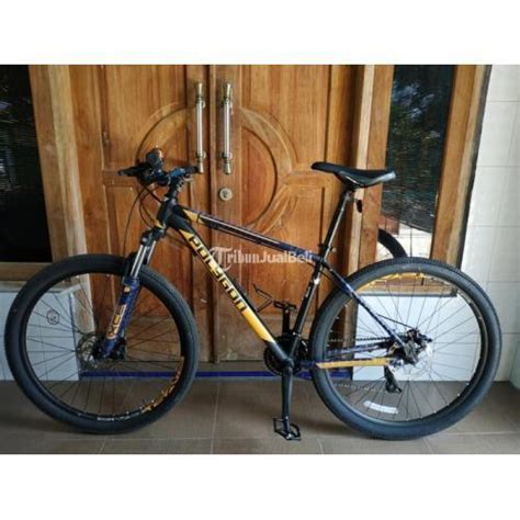 Sepeda Mtb Sepeda Gunung Bekas Polygon Cascade Size M Siap Gowes Di