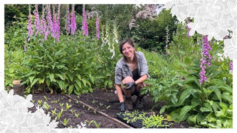 Growing My Own Wedding Flowers Late Spring Update Youtube