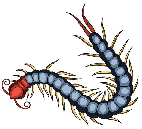 Free Centipede Cliparts Download Free Centipede Cliparts Png Images