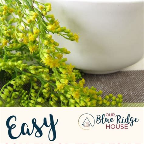 The Goldenrod Tea Recipe Benefits And How To Make Our Blue Ridge House