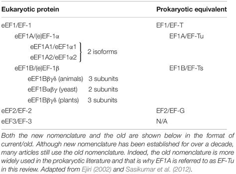 Frontiers The Diverse Functional Roles Of Elongation Factor Tu EF Tu