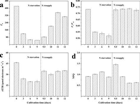 Changes In The Chlorophyll Fluorescence Parameters Of S Acuminatus