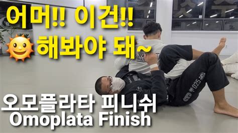 오모플라타 피니쉬 Omoplata Finish 기술도움 최은국 강진구 Youtube