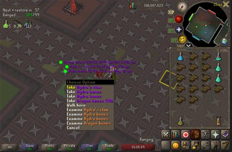 Hydra Claw Drop #2 (452 KC) - Goals & Achievements - [ FOE ] Final Ownage Elite - #1 OSRS Legacy ...