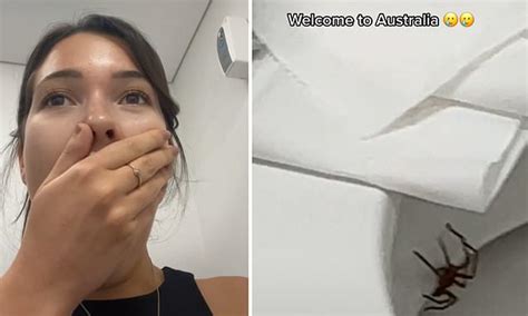 Aussie Woman Finds A HUGE Huntsman Spider Lurking In Her Toilet After