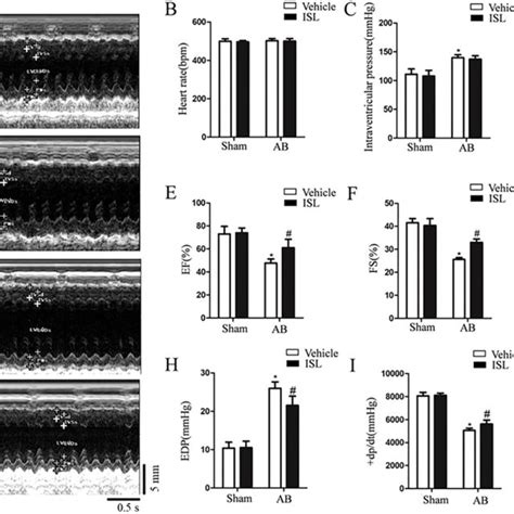 Isl Treatment Improves Pressure Overload Induced Cardiac Dysfunction In