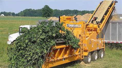 Amazing Dangerous Wood Chipper Machines Working Fastest Powerful Tree Shredder Machines