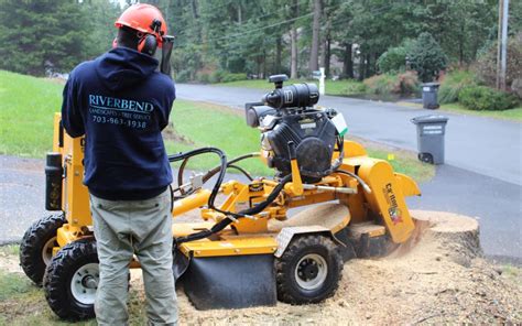 What Is Stump Grinding Riverbend Landscapes Tree Service