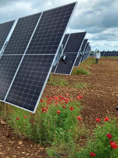 Solar Farms A Blight On The Landscape Research Shows They Can Benefit Wildlife Caithness