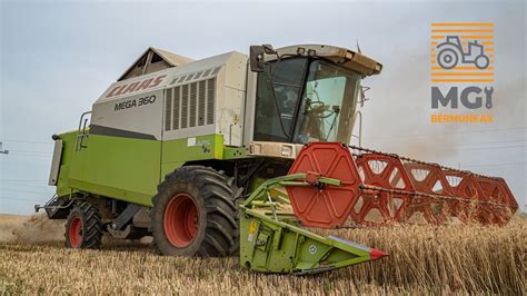 CLAAS MEGA 360 C510 Aratás Harvest Żniwa Žatva 2023 MGI bérmunkák