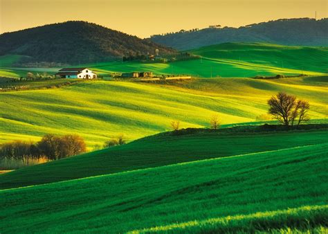 LUnione Coltivatori Italiani UCI Unione Coltivatori Italiani