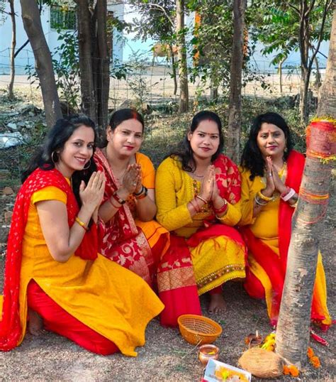 Women Worshiped Amla Tree On Amla Navami आंवला नवमी पर महिलाओं ने आंवला पेड़ की पूजा की