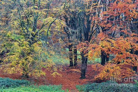 The Touch Of Autumn Photograph By Tim Gainey Fine Art America