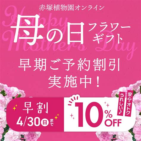 バラ大苗！株充実中！｜【母の日ギフト早割10offキャンペーン絶賛開催中】新カーネーション追加！