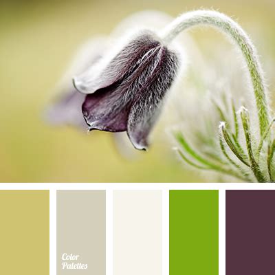 dark aubergine | Color Palette Ideas