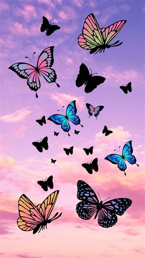 Beautiful Butterfly Hd Wallpapers For Mobile Screen Butterfly 🦋