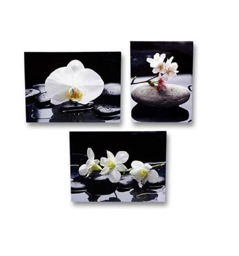 3 Er Set Wandbild Orchidee 30 Cm X 40 Cm Blumen Bilder Feng Shui