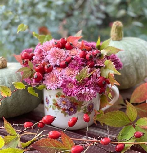 Pin By La Figlia Dei Fiori On Fiori In Tazza Fall Flowers Beautiful