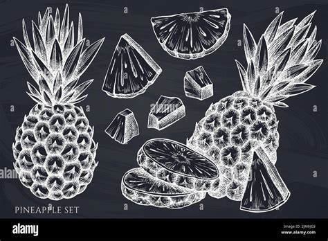 Fruits Hand Drawn Vector Illustrations Collection Chalk Pineapple