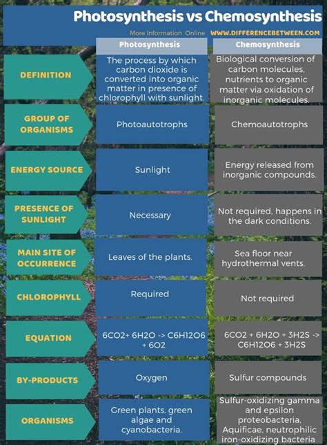 Difference Between Photosynthesis And Chemosynthesis 3 Autonomic