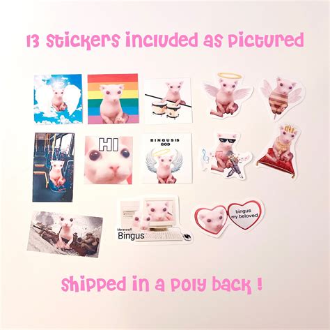 Bingus Sticker Pack Bingus Stickers This Is Bingus Sticker Etsy