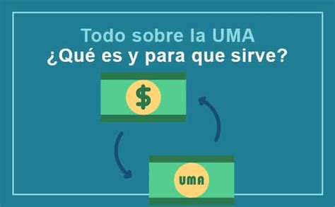 UMA 2023 Qué es para qué sirve y cómo se usa