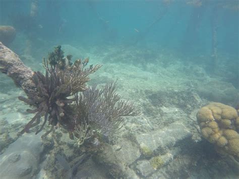 Snorkeling at Dry Tortugas National Park