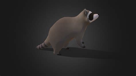 Racoon Buy Royalty Free 3D Model By 3D IDI Paduladi E5b0ff8