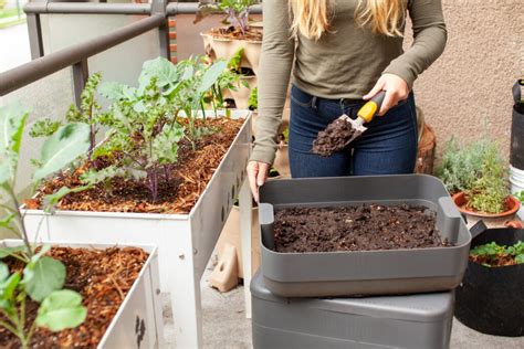 Confira Dicas De Como Cuidar De Plantas E Deix Las Sempre Lindas