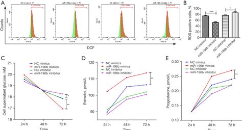 Effect Of Mir 196b 5p Overexpression On Ros Production Glucose Uptake