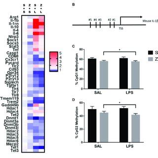 A Heat Map Visualization Of Relative Expression Of Genes In