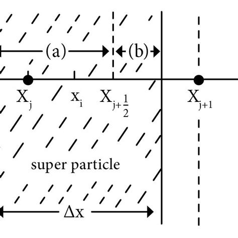 Pic Weighting Of The Super Particle X I Download Scientific Diagram