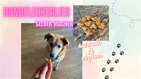 Hundeleckerlies Selber Machen Rezept Zutaten Youtube